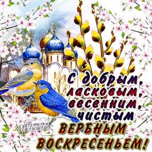 Вербное воскресение, с вербным воскресеньем, воскресение вербное