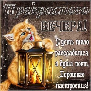 Приятного вечера, романтического вечера, прекрасного вечера, релакс вечером, доброго вечера, котик