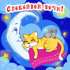 спокойной ночи