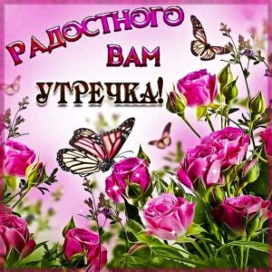 Картинки радостного утра. Отличного утра приятных впечатлений, розы утро, текст доброго дня, надпись, доброе утро, узоры, с фразами, мерцающая.