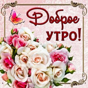 Картинка утро доброе розы, бабочки. С утром надпись, цветы, утренний позитив, стишок, узоры, мерцающая, открытка утречко, удачного утра.