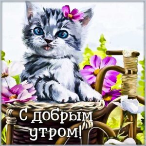 Веселая картинка с добрым утром. Удачного дня, с надписью утро, фразы доброго утра, котенок, цветы, текст про утро, красивая картинка.