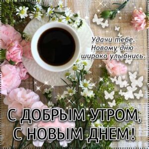 бодрого тебе утра, солнечного утра, чудесных эмоций, замечательного утра, теплого утра, нежного утра, доброе утро чудесного солнечного дня, прекрасное утро, ласкового утра, радостного утра