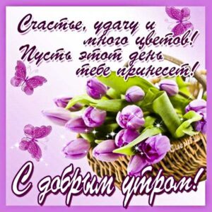 Картинка с добрым утром. Нежного утра, прекрасного дня надпись, с бликами позитивного утра, тюльпаны, утренний позитив, стихотворение, стих, с бликами, мерцающие, фразы, узоры.