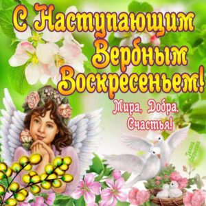 Вербное воскресение, с наступающим вербным воскресеньем, воскресение вербное
