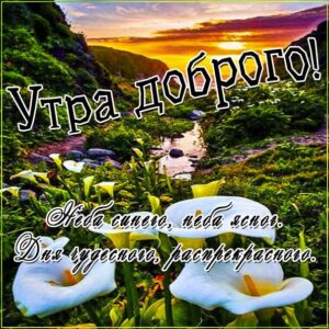 Доброе утро картинки. Рассвет, цветы, природа, лилии, восход солнца