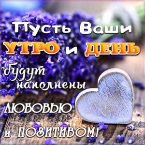 доброе утро, с добрым утром, утренняя улыбка, сердечко картинка утро, про утро картинка, утро цветы, приветствие утреннее