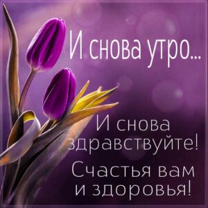 доброе утро, с добрым утром, утренний позитив, чудесного настроения, про утро картинка, утро с тюльпанами, приветствие утреннее