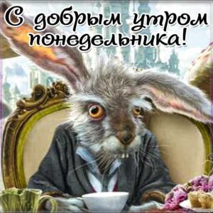 доброе утро понедельник, пожелание настроения с утра, понедельник не доброе утро, позитива на день, утренняя улыбка, чудесного настроения, злая картинка понедельник
