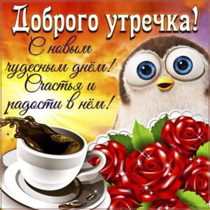 Открытка доброго утречка. С новым чудесным днем, со словами, яркого утра приятных эмоций, обнимаю, цветы, сияние, утренний позитив, сова, мигающие, стихи, картинки пожелать.