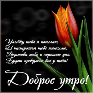 доброе утро, с добрым утром, утренняя улыбка, чудесного настроения, про утро картинка, утро с тюльпанами, приветствие утреннее