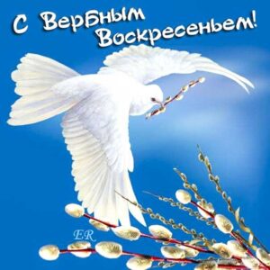 Вербное воскресение, с вербным воскресеньем, воскресение вербное