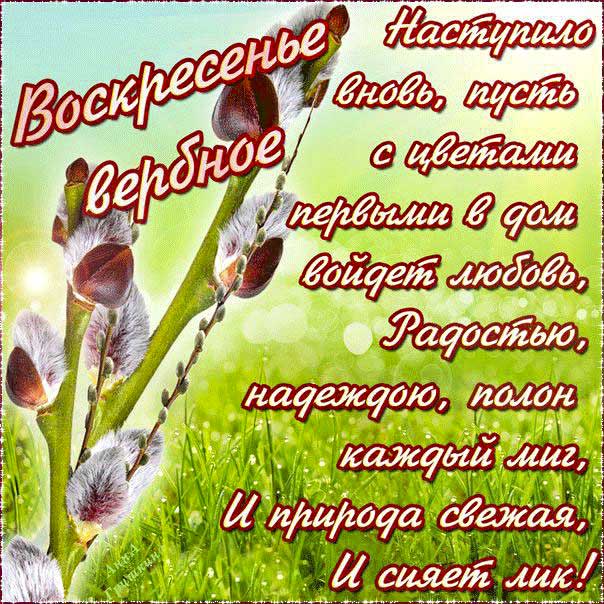 Вербное воскресение, с вербным воскресеньем, воскресение вербное