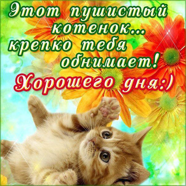 Подборка открытки хорошего дня