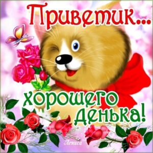 Привет