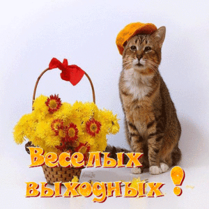 Открытки замечательных выходных