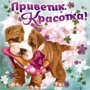 Подружке Привет открытки