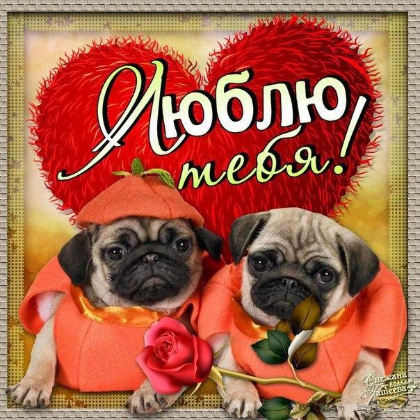 Я тебя Люблю открытки бесплатно