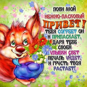 Открытки Привет дорогой