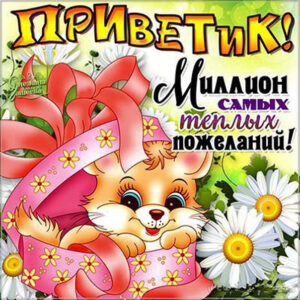 Открытки Привет Девушке