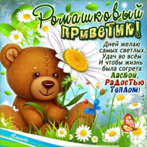 Привет открытки анимация