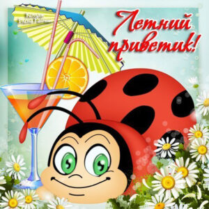 Открытки Привет просто так