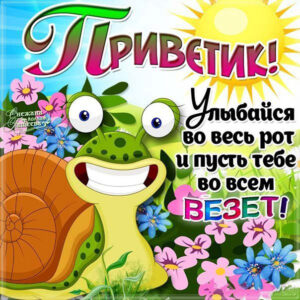 Смешные открытки Привет