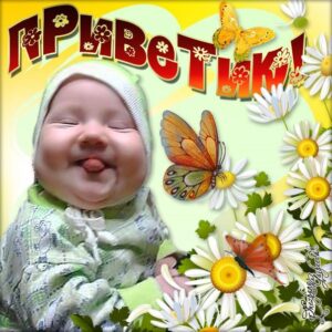 Смешные открытки Привет
