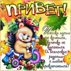 Открытки Привет парню