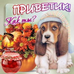 Открытки с Приветом другу