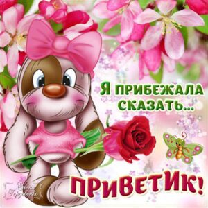 Открытки Приветик