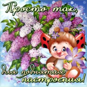 Открытки просто так