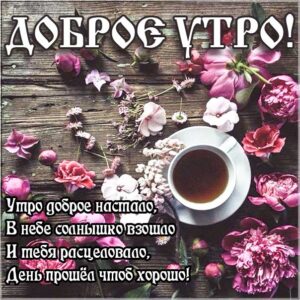 Доброе утро, позитивного утра, с добрым утром открытки, утро розы кофе, доброе утро чудесного солнечного дня, прекрасное утро, ласкового утра, радостного утра, приятного утра, энергичного утра
