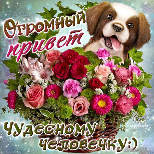 Открытки Привет просто так
