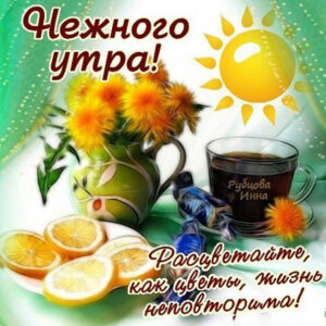 Нежное утро