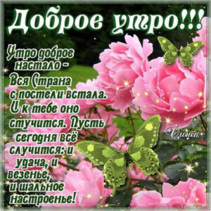 Доброе утро стихи, цветы