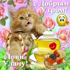 Бесплатные открытки с добрым Утром
