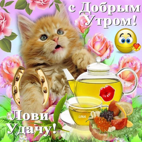 Бесплатные открытки с добрым Утром