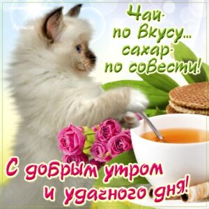 Веселая открытка доброе Утро
