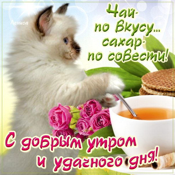 Веселая открытка доброе Утро