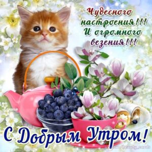 С добрым Утром