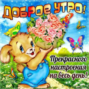 Хорошее утро