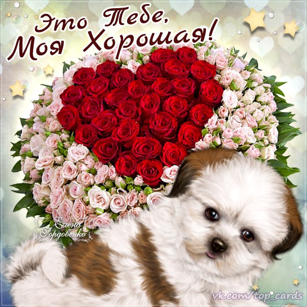 Открытка розы с фразами для настроения
