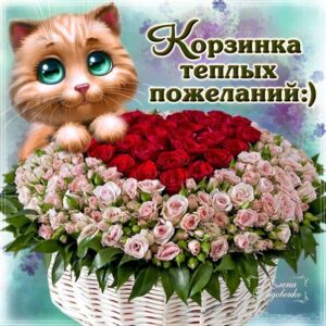 Музыкальные открытки анимация