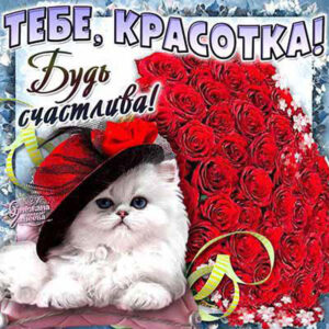 Только красивые музыкальные открытки