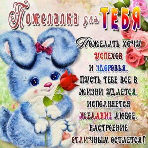Пожелание